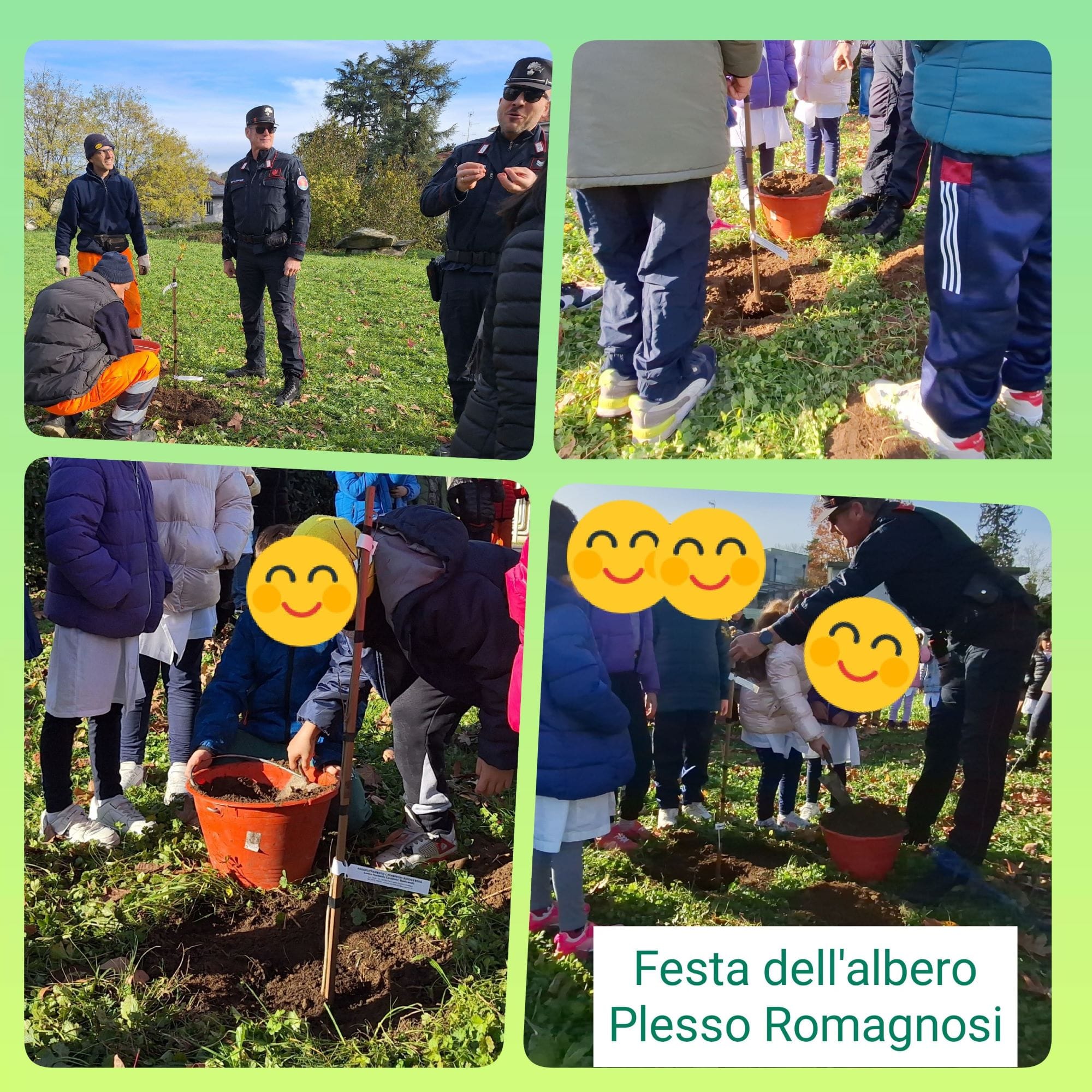 Festa Albero