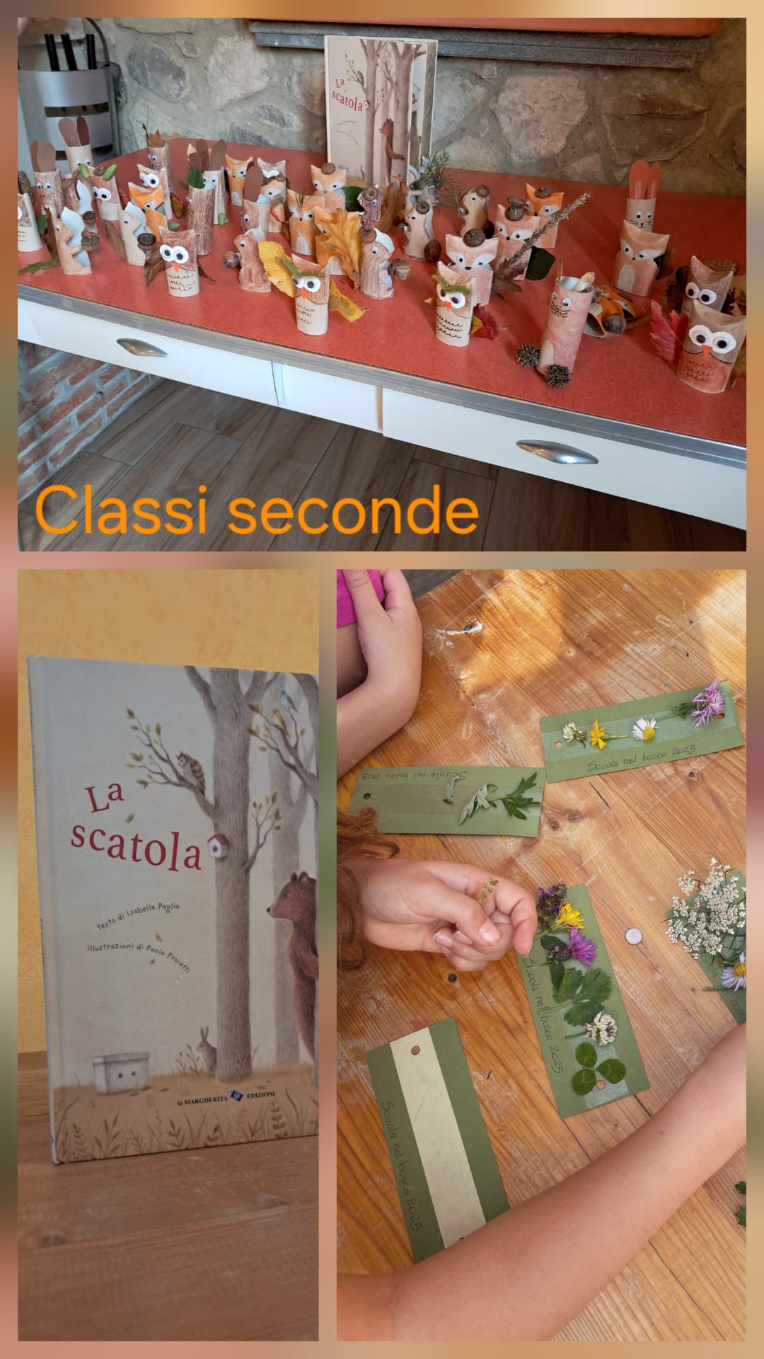 Classi seconde-2