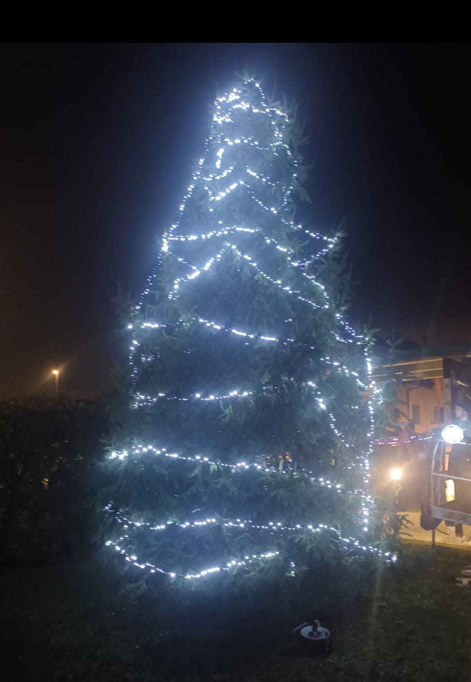LODI (3)