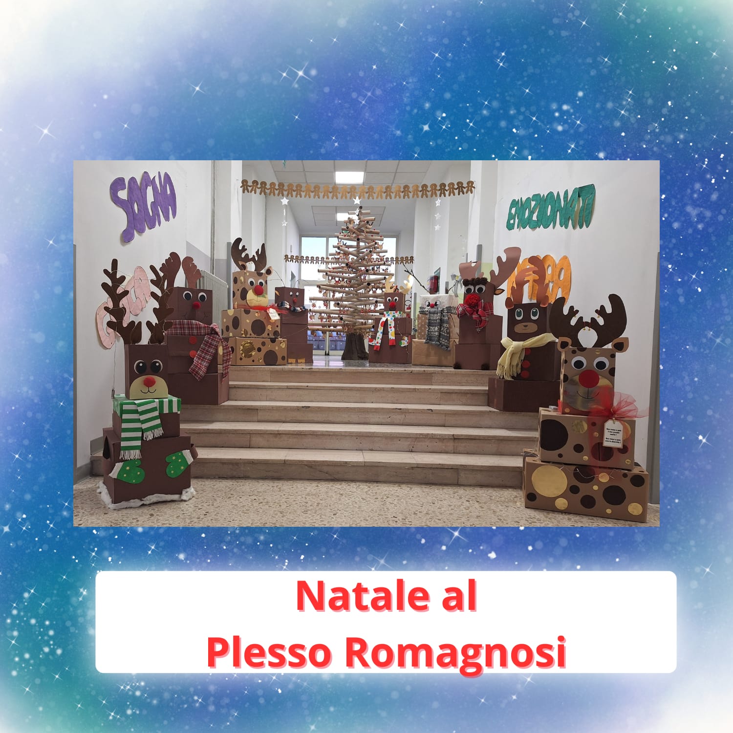 ROMAGNOSI (7)