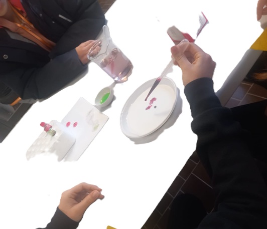 laboratorio 2