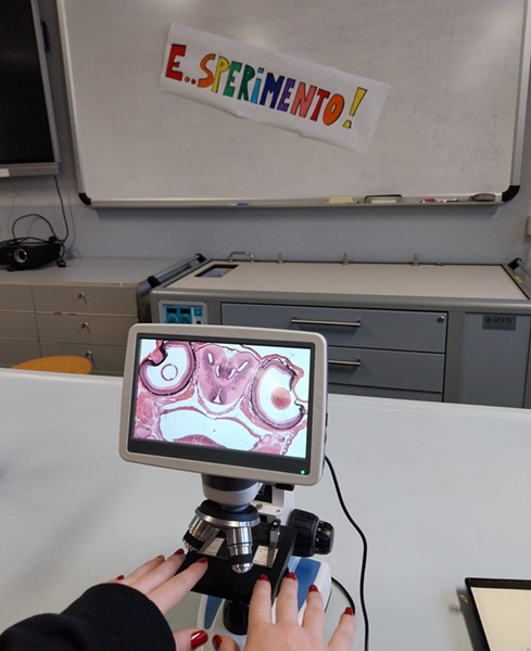 laboratorio 3