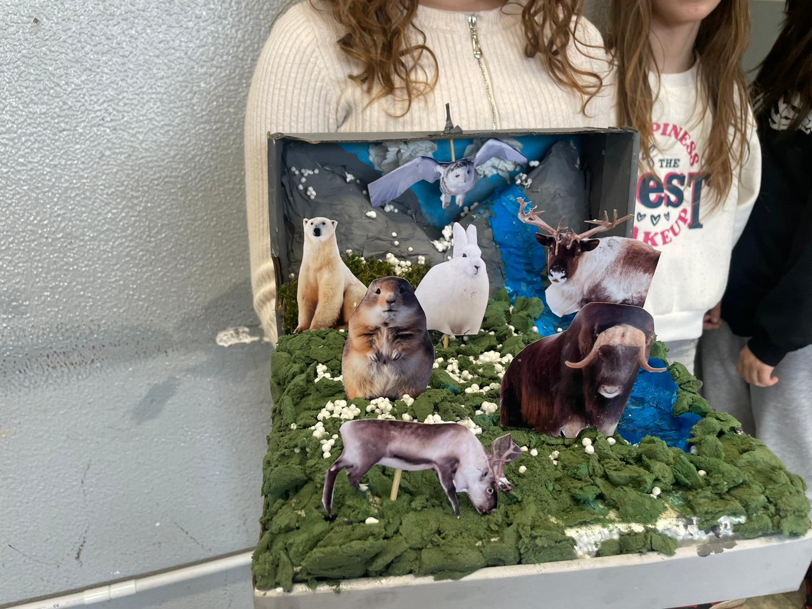 diorama (3)